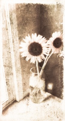 Vintage Sunflowers in Vase